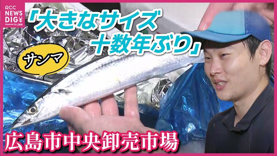十数年ぶり”大きなサイズ！卸売市場で聞いてみた“おいしいサンマ
