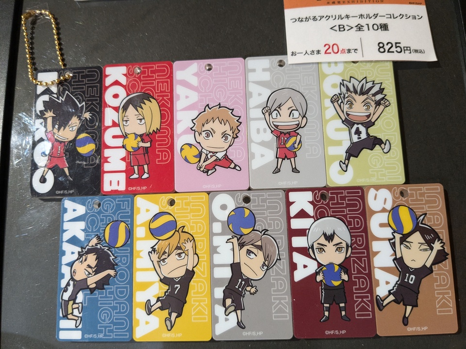 ハイキュー　つながるアクリルキーホルダーコレクションB 10種入れ ハイキュー!!アニメ10周年記念展 全感覚EXHIBITION | つながる